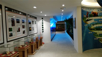 500平米展廳設(shè)計(jì)制作：現(xiàn)代/綠色，教育類(lèi)展廳-桂林植物園科普展廳（免費(fèi)使用）
